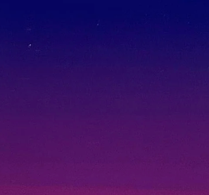 Special Edition Bogg Bag Phone Holder - paytonbrooke