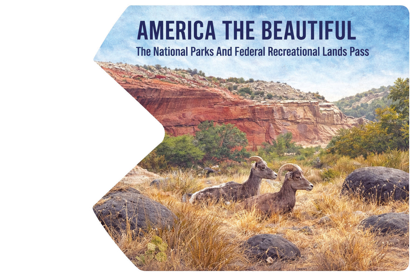 National Park Pass Sleeve