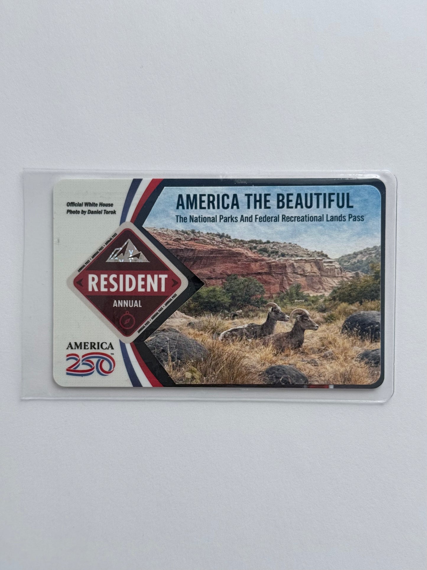 National Park Pass Sleeve